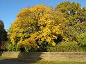 2010-10-25, Elberadweg (10)